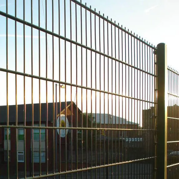 Double Wire Fence