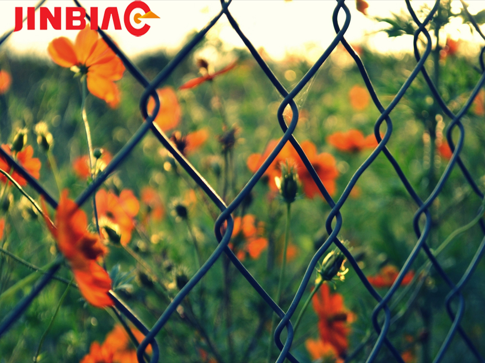Cheap pvc coated chain link woven wire mesh fence designs